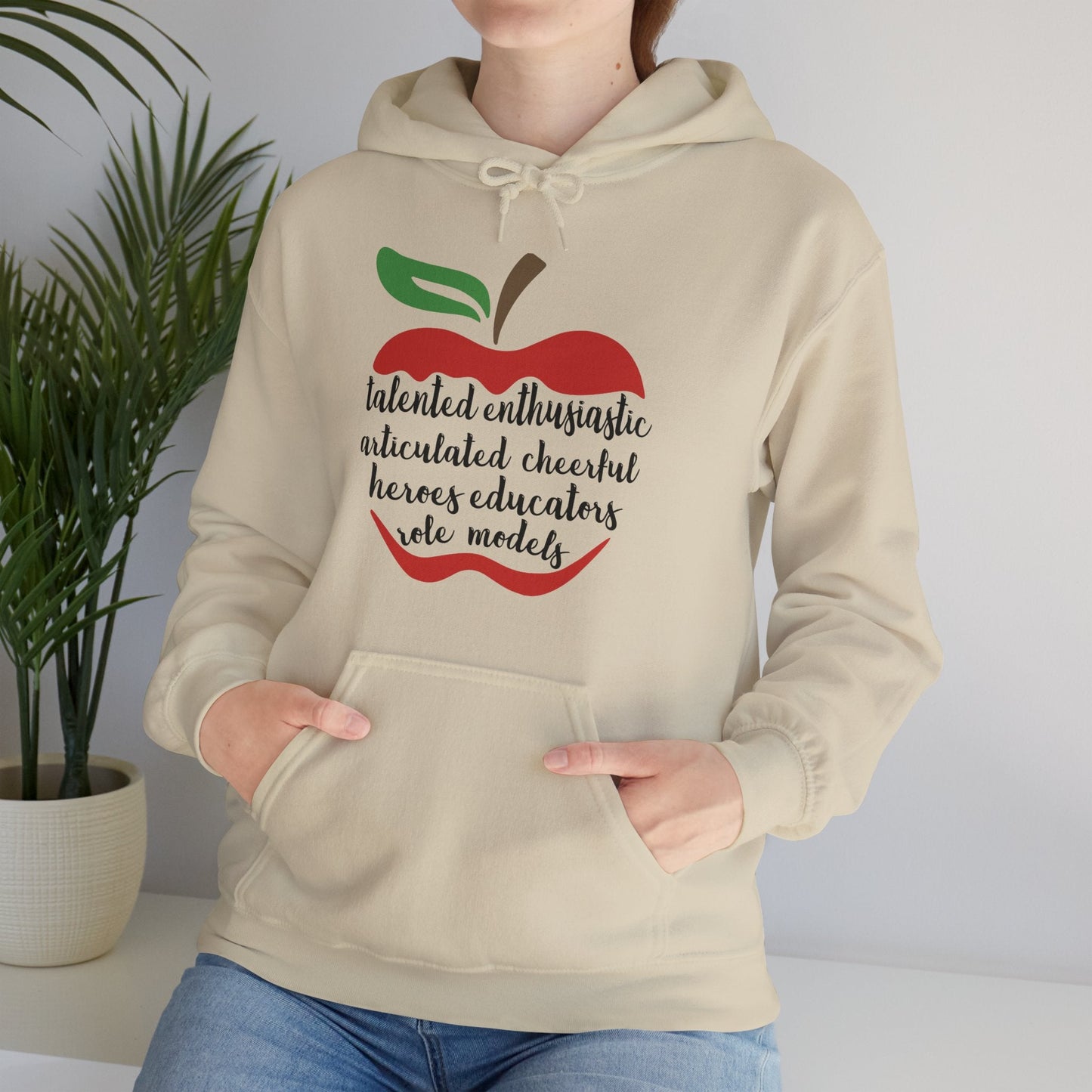 Teacher in the Apple Hoodie - jets - dreams