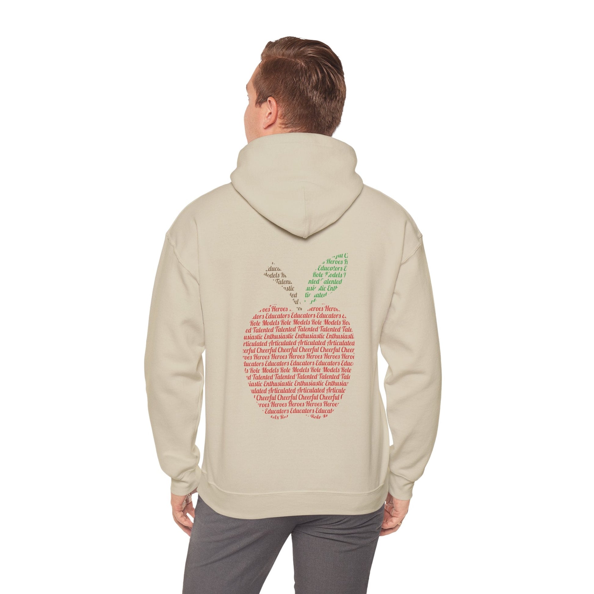 Teacher in the Apple Hoodie - jets - dreams