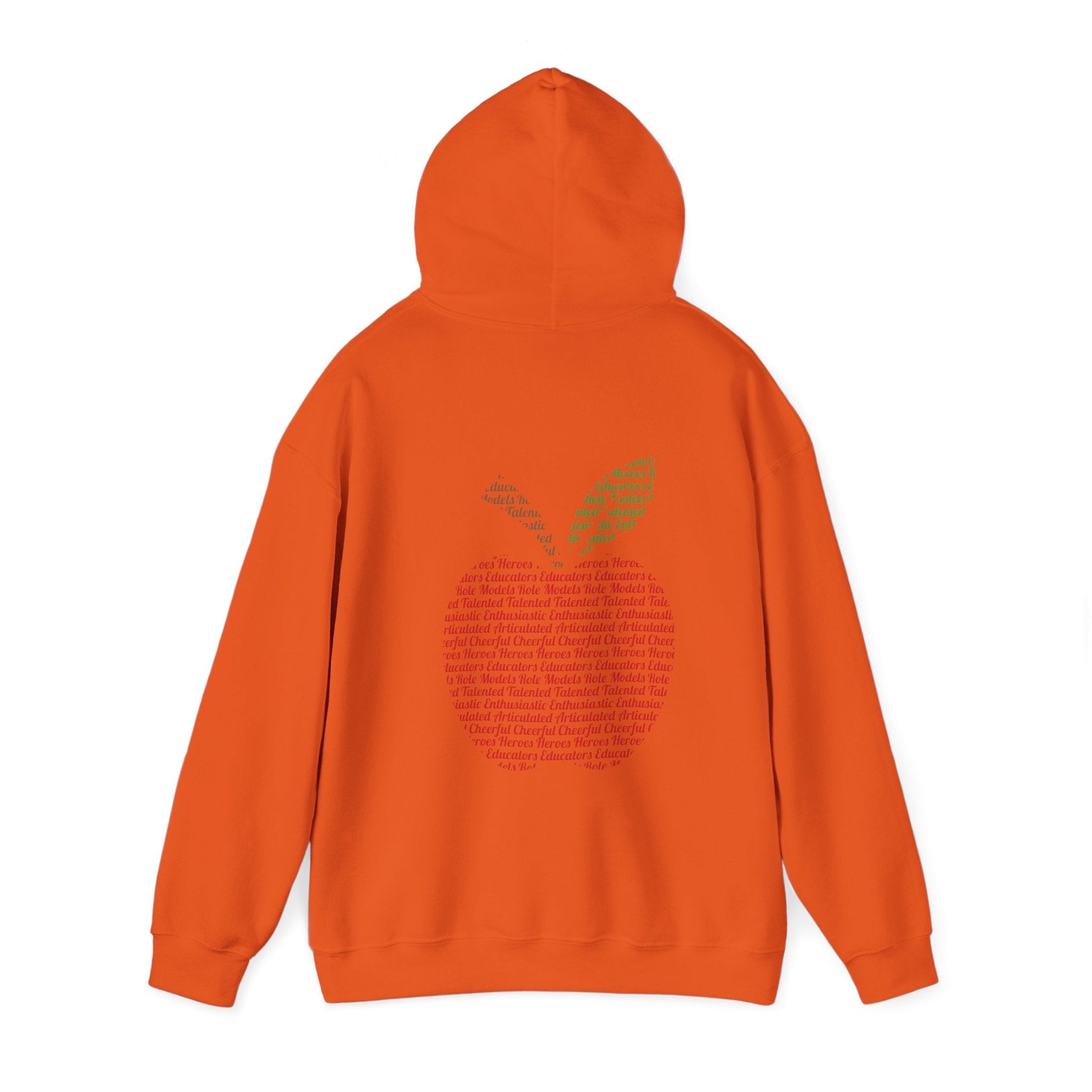 Teacher in the Apple Hoodie - jets - dreams