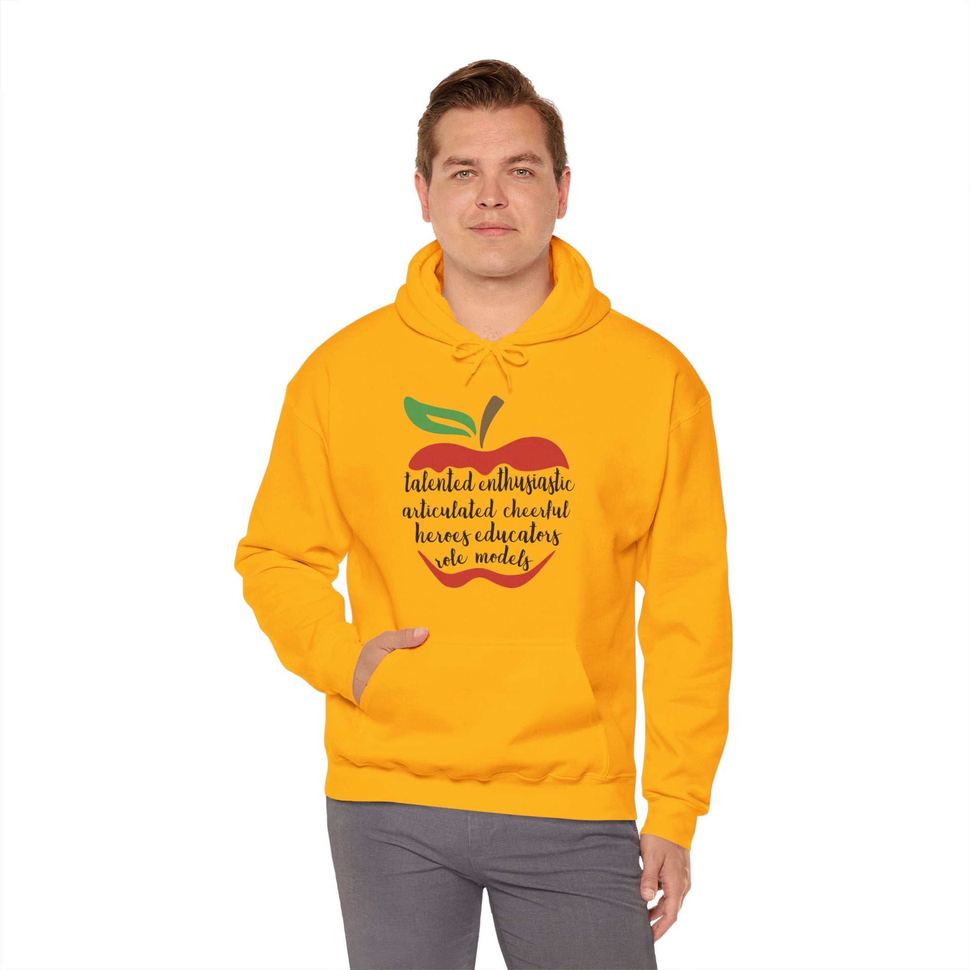 Teacher in the Apple Hoodie - jets - dreams