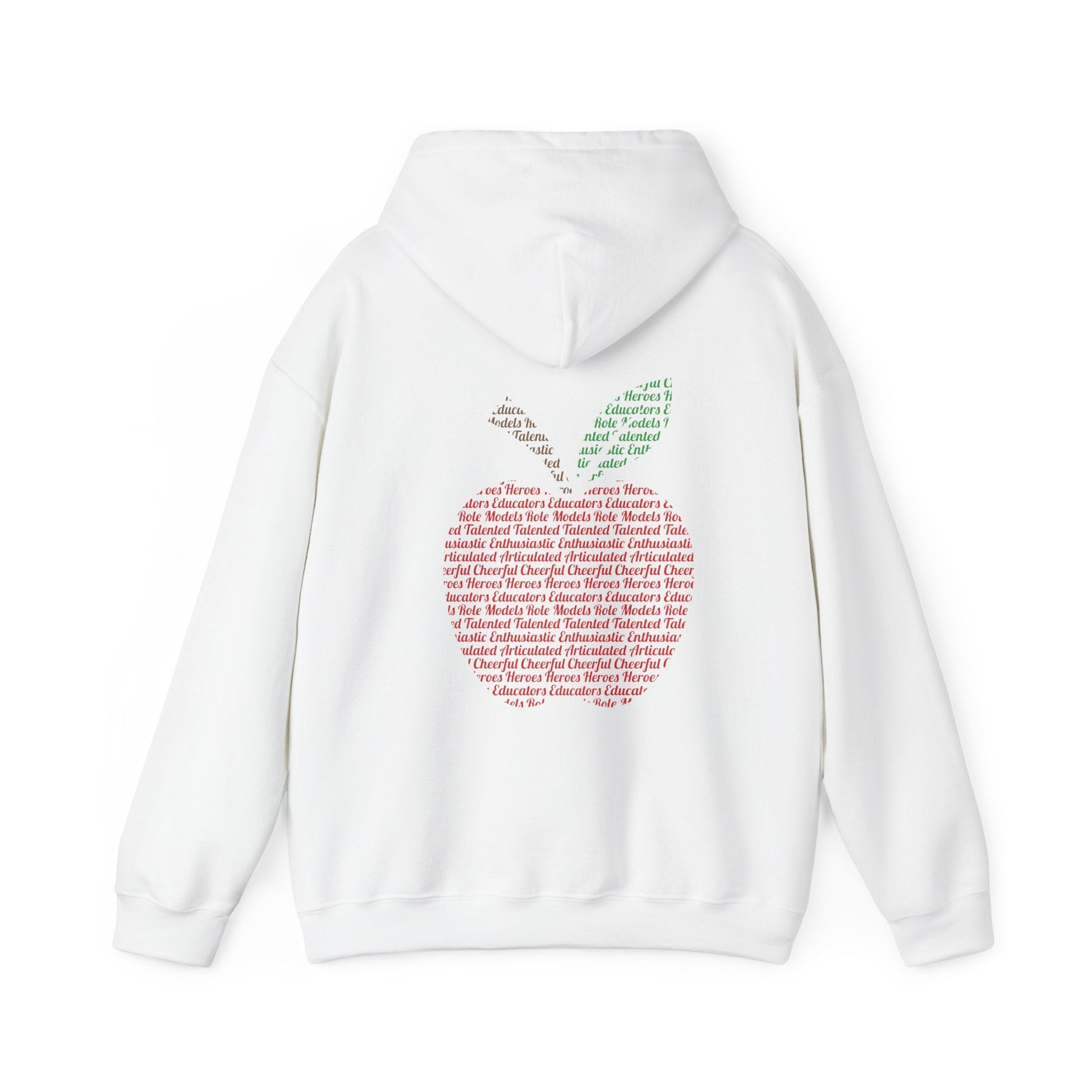 Teacher in the Apple Hoodie - jets - dreams