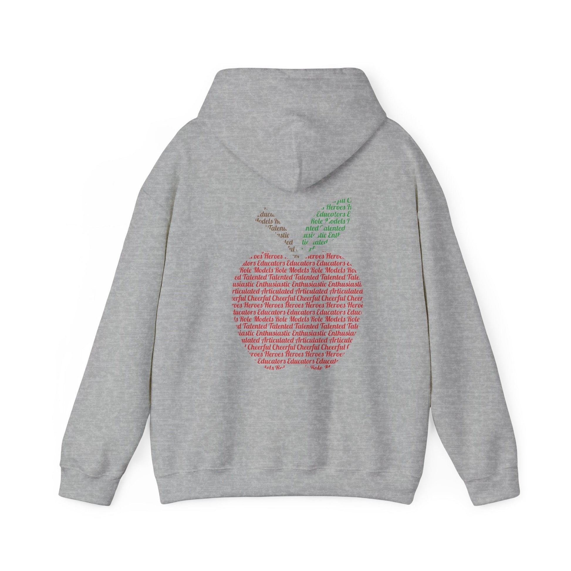 Teacher in the Apple Hoodie - jets - dreams