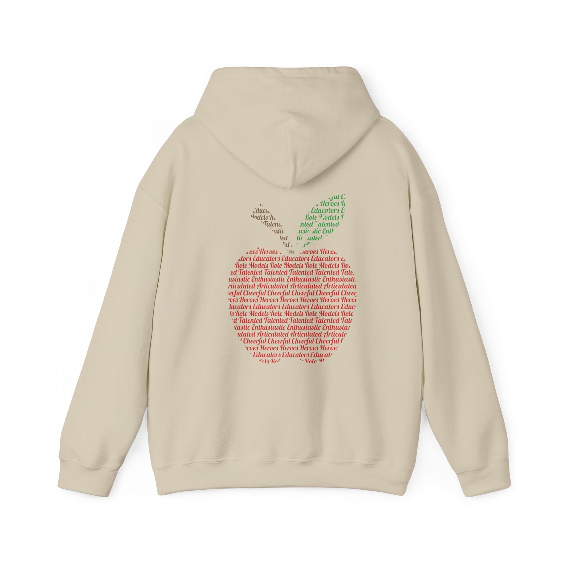 Teacher in the Apple Hoodie - jets - dreams