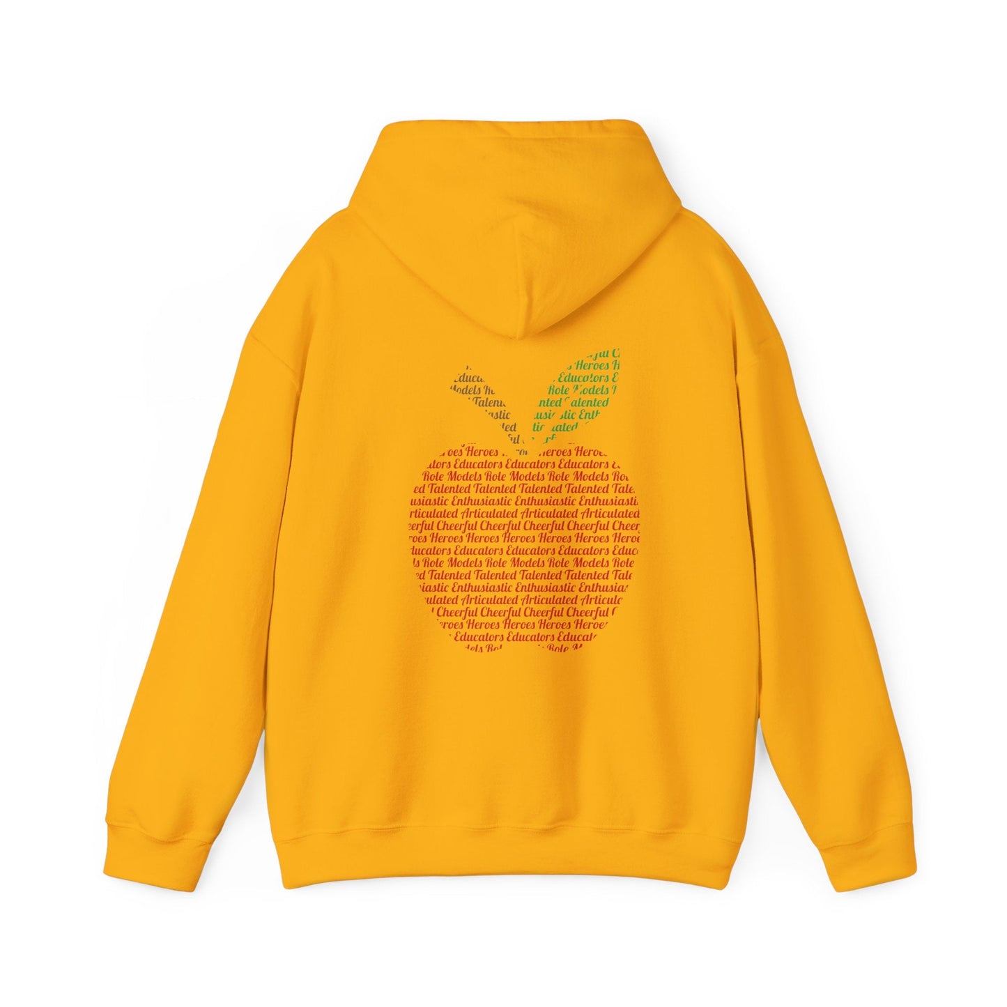 Teacher in the Apple Hoodie - jets - dreams