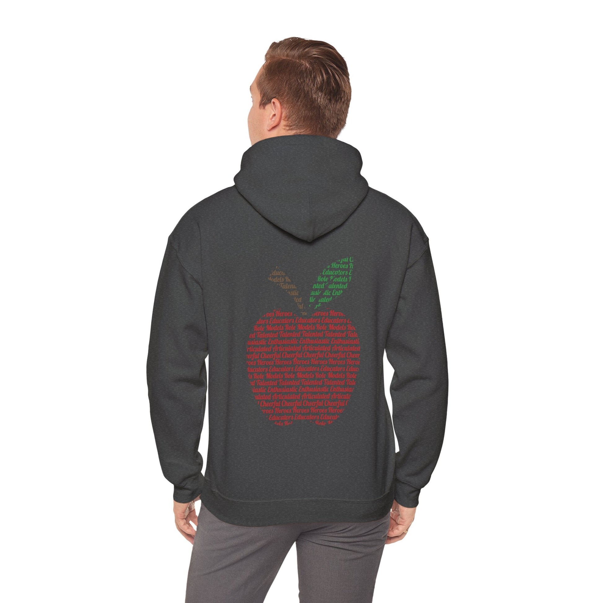 Teacher in the Apple Hoodie - jets - dreams