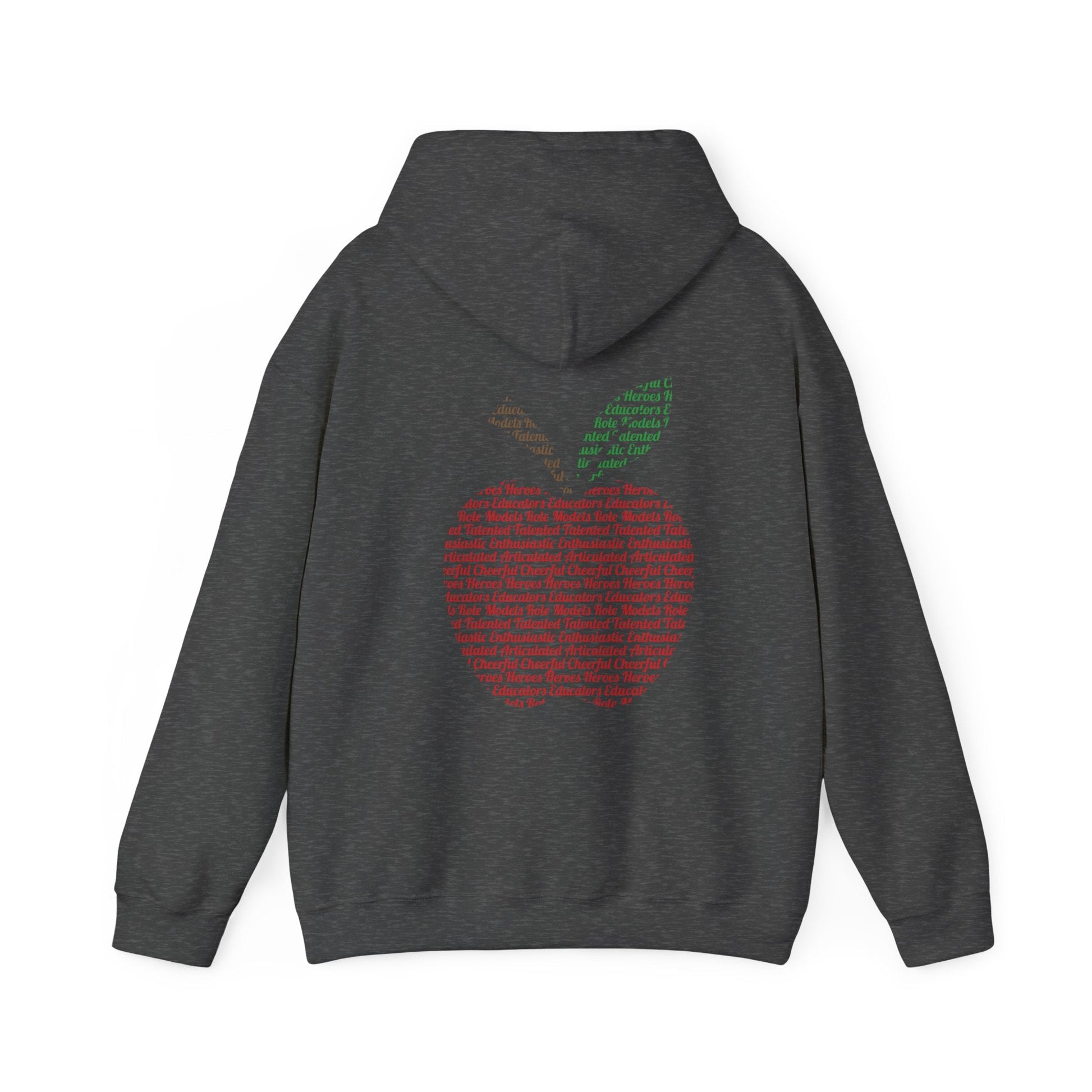 Teacher in the Apple Hoodie - jets - dreams