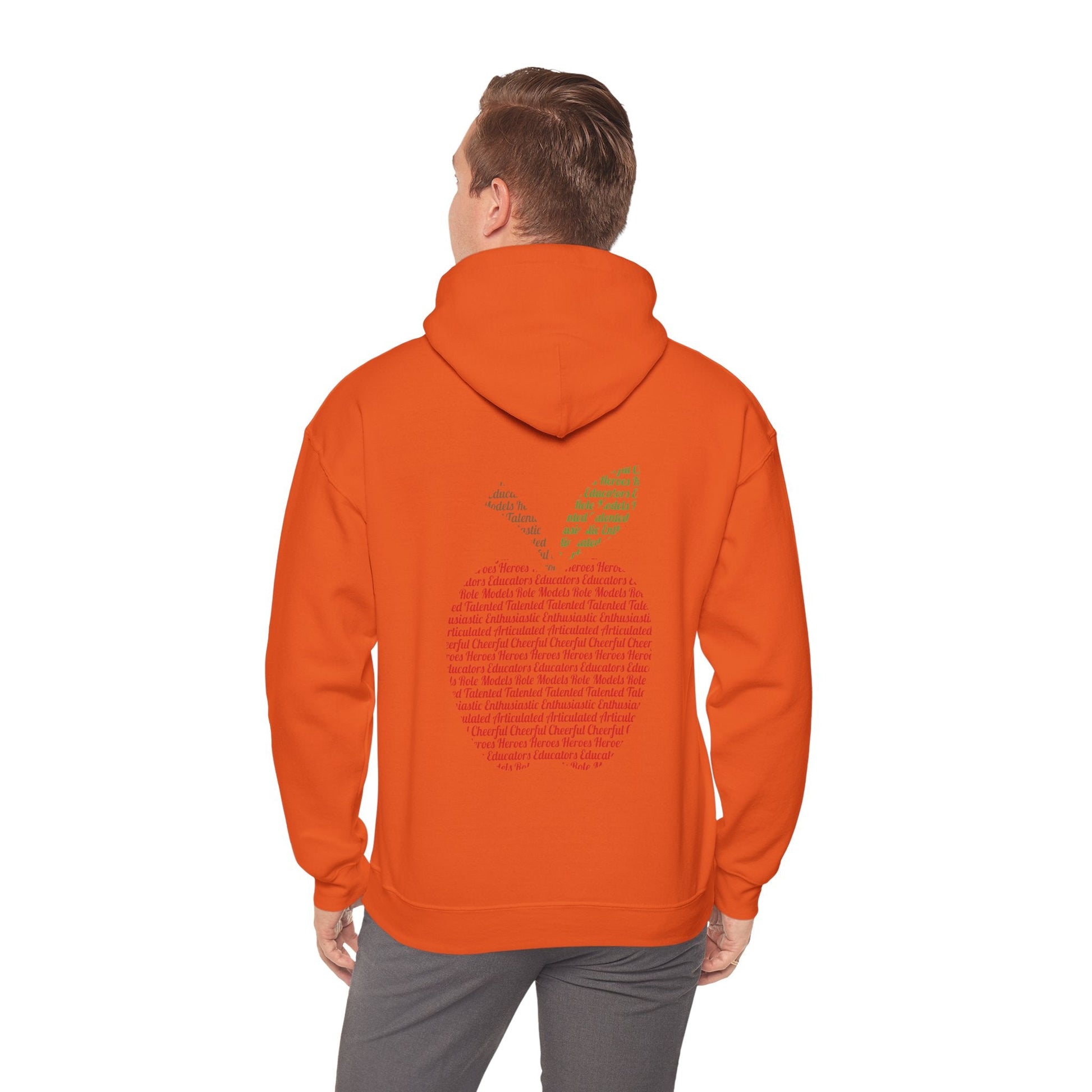 Teacher in the Apple Hoodie - jets - dreams