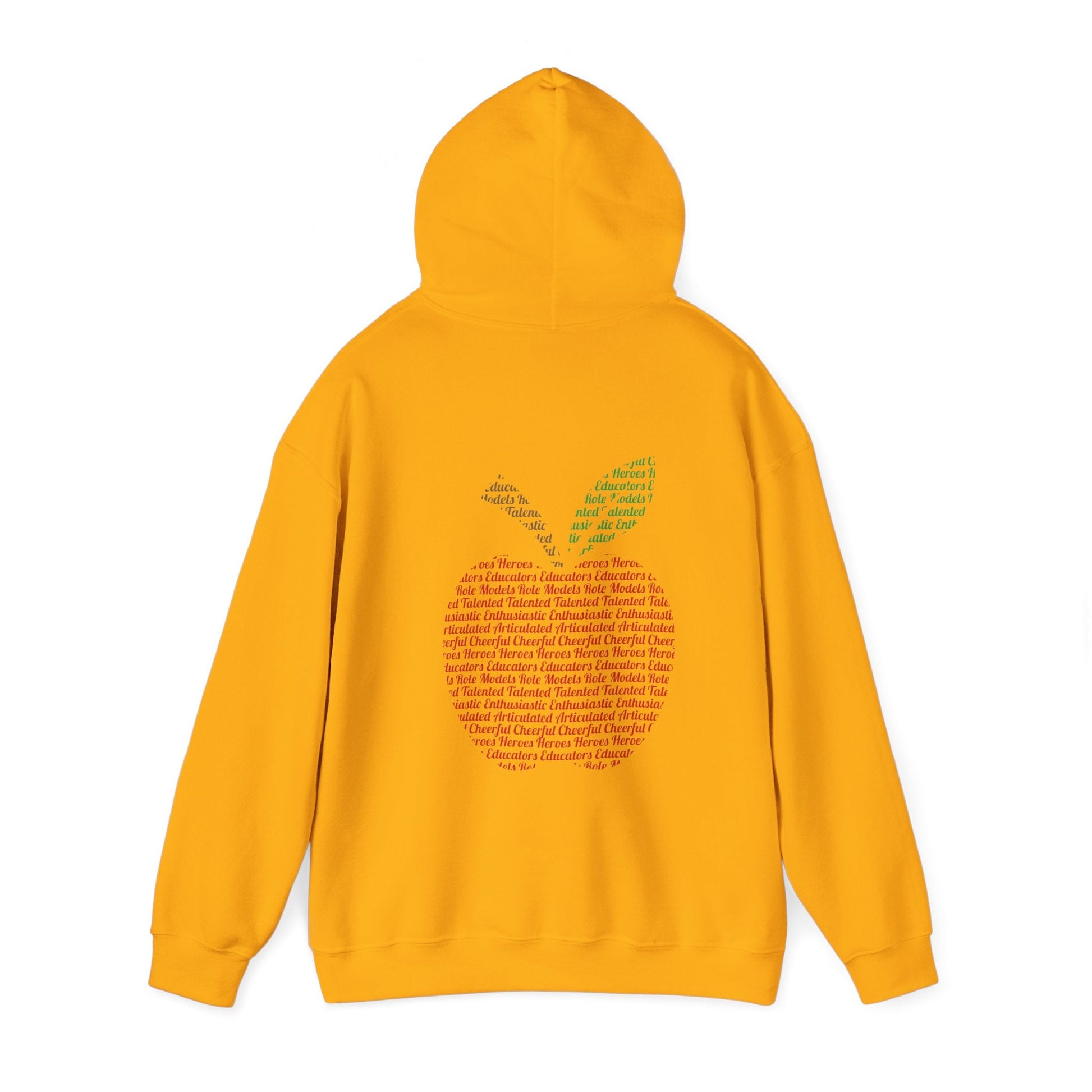 Teacher in the Apple Hoodie - jets - dreams