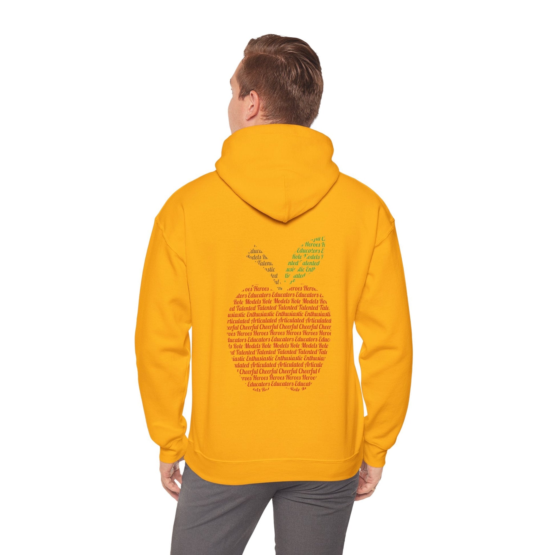 Teacher in the Apple Hoodie - jets - dreams