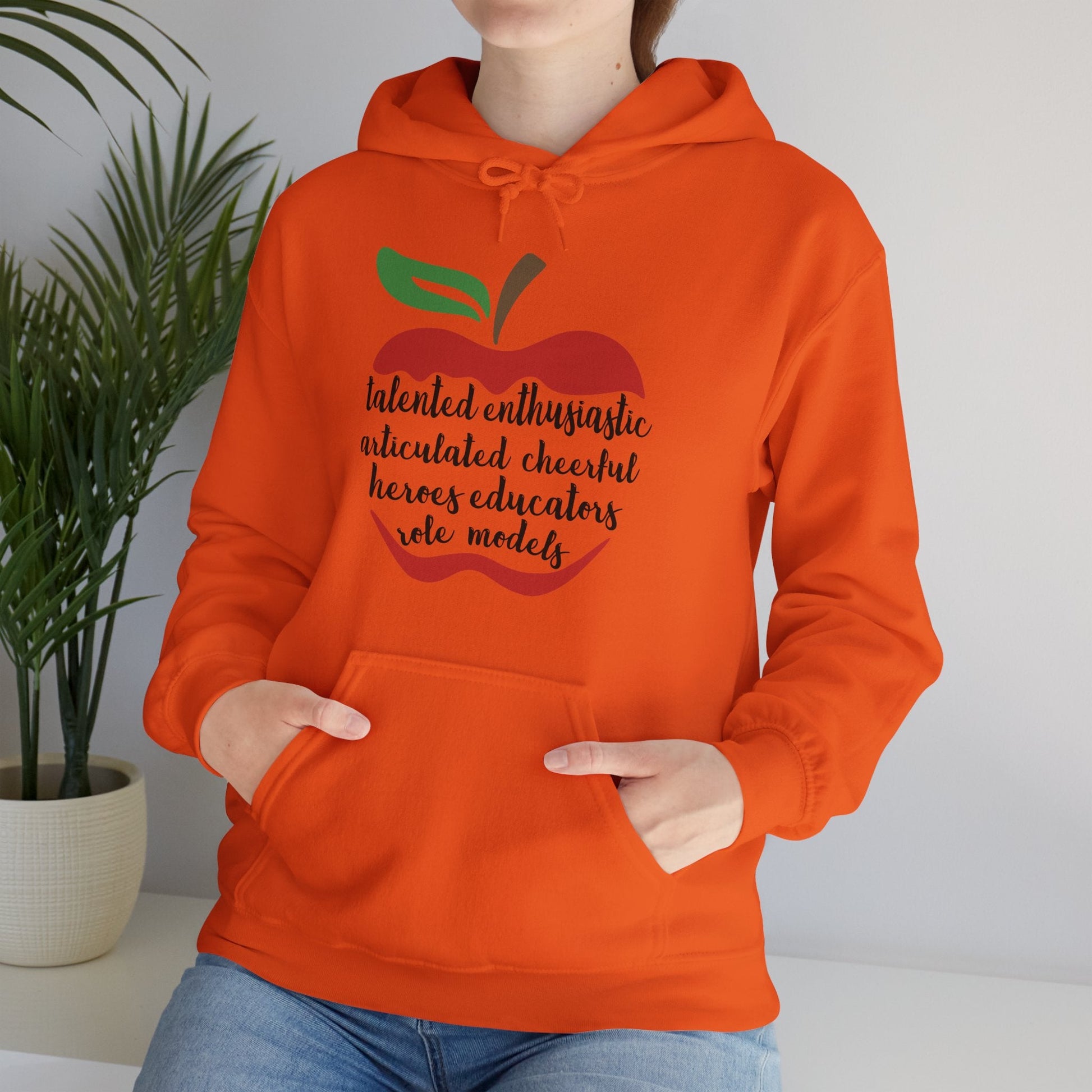 Teacher in the Apple Hoodie - jets - dreams