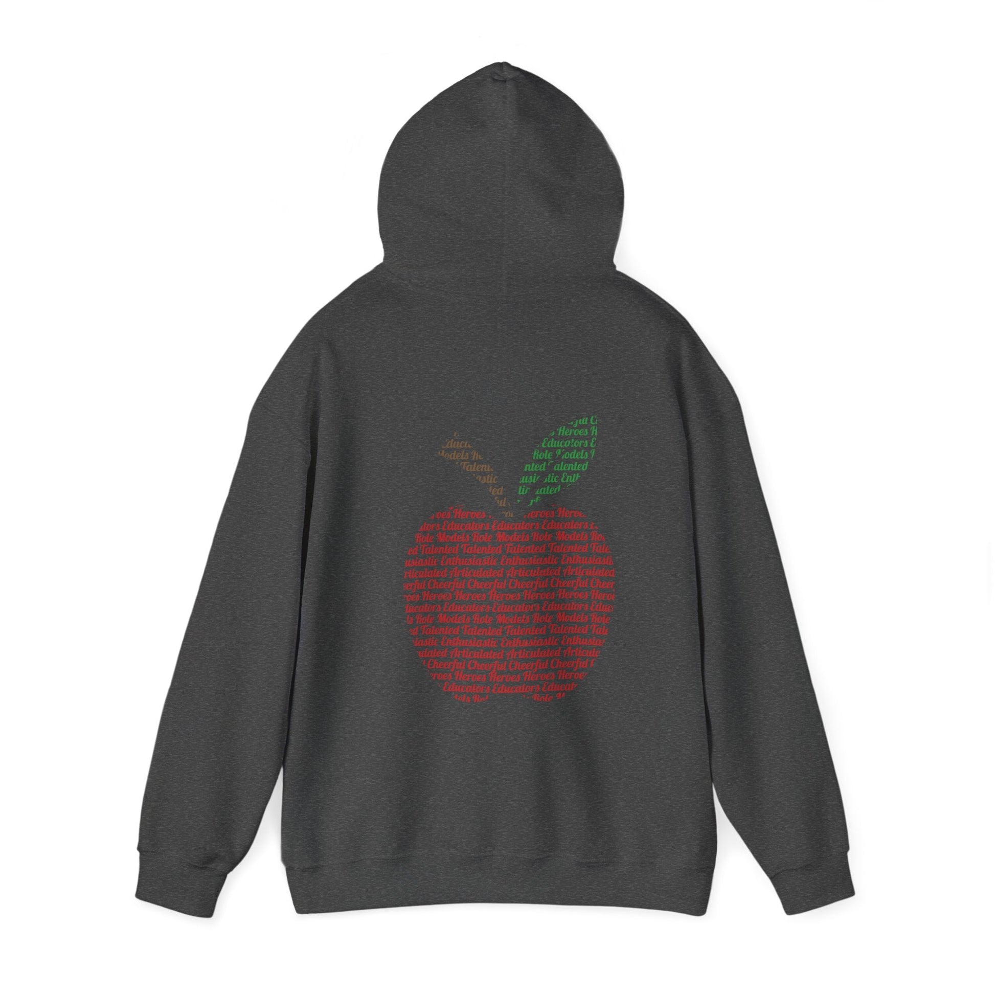 Teacher in the Apple Hoodie - jets - dreams