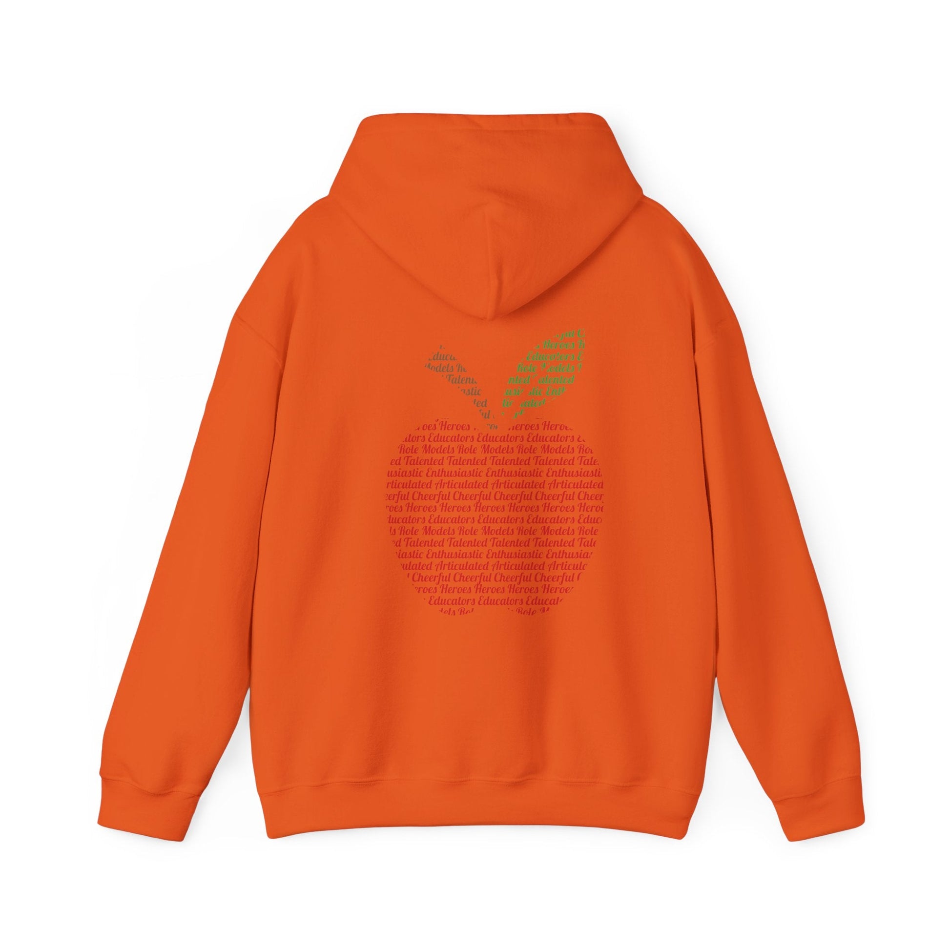 Teacher in the Apple Hoodie - jets - dreams