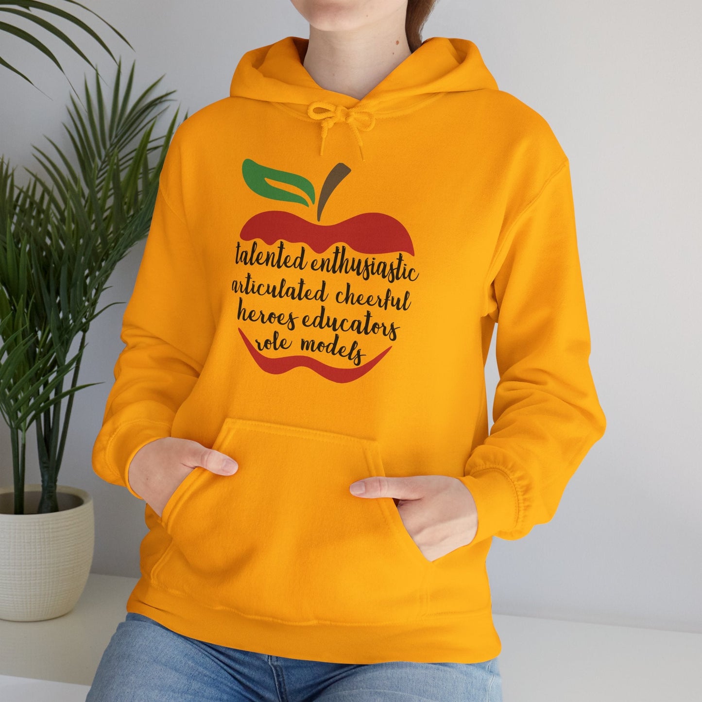 Teacher in the Apple Hoodie - jets - dreams