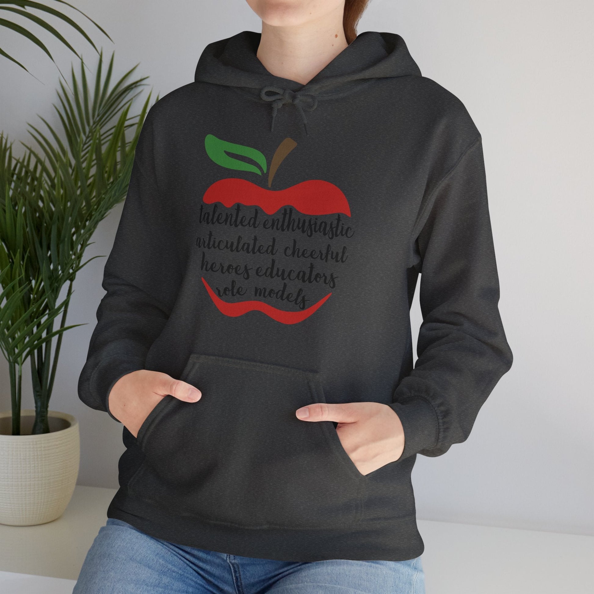 Teacher in the Apple Hoodie - jets - dreams