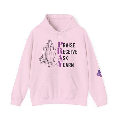 P.R.A.Y. Hooded Sweatshirt - jets-dreams