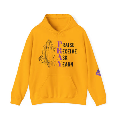 P.R.A.Y. Hooded Sweatshirt - jets-dreams